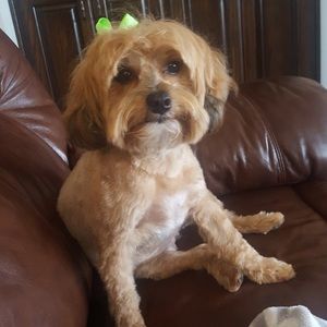 Meet your Posher, Stacie